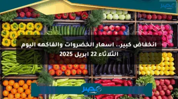 انخفاض كبير.. أسعار الخضروات والفاكهة اليوم الثلاثاء 22 أبريل 2025